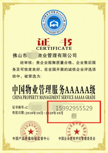 深圳辦公服務(wù) 高效解決方案引領(lǐng)未來工作方式